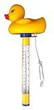 Well2wellness® Poolthermometer Schwimmbad Thermometer Ente